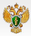 Прокуратура Воронежа направила в суд заявления о блокировке 5 сайтов МФО